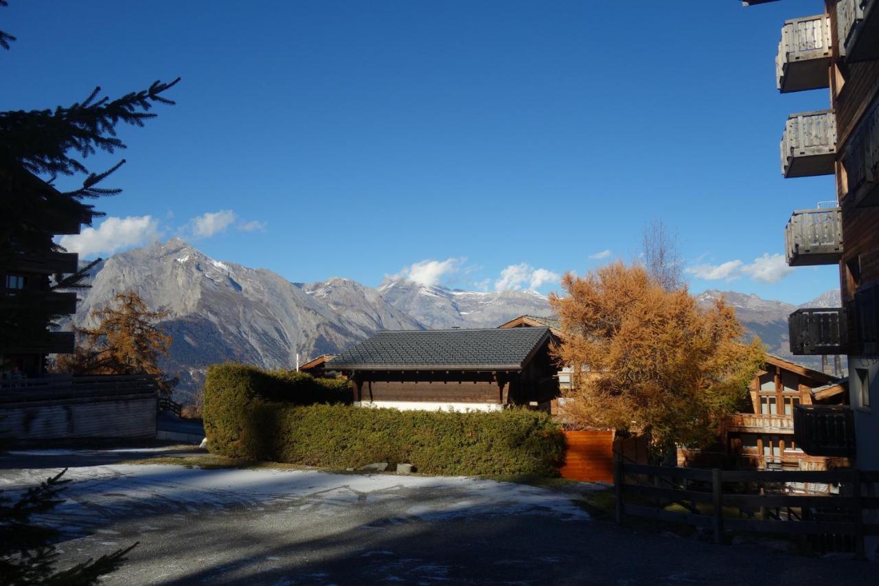 Pracondu 1 Outdoor & Fun Appartement 1 Chambre Superieur Avec Balcon By Alpvision Residences Nendaz Εξωτερικό φωτογραφία