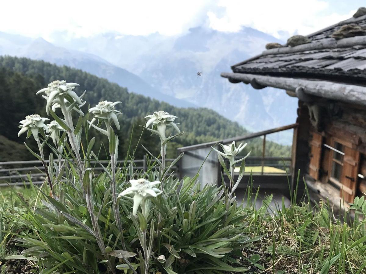Pracondu 1 Outdoor & Fun Appartement 1 Chambre Superieur Avec Balcon By Alpvision Residences Nendaz Εξωτερικό φωτογραφία